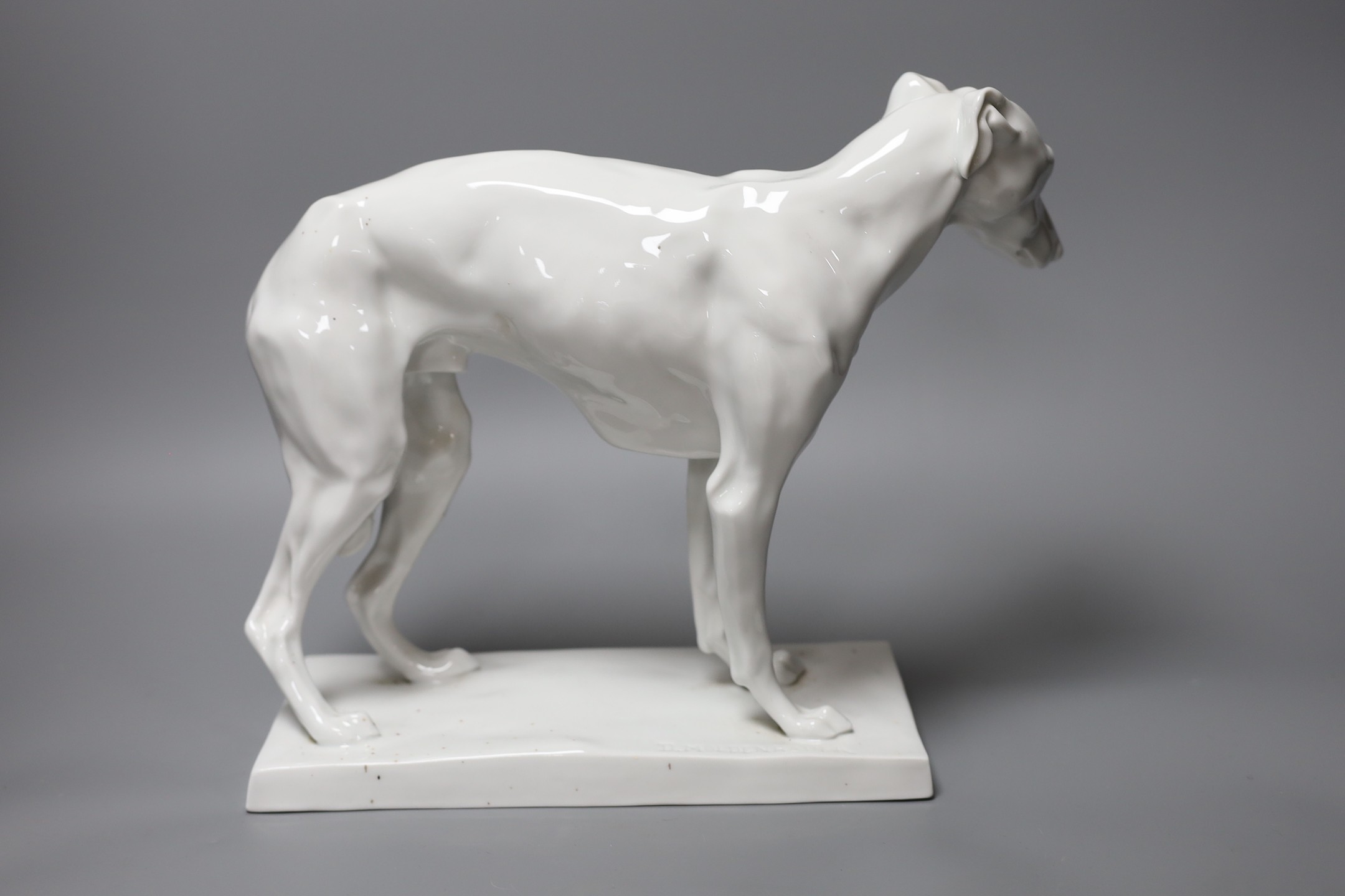 A 20th century German white glazed porcelain model of a whippet, impressed D. Moldenhauer, 31cm wide
